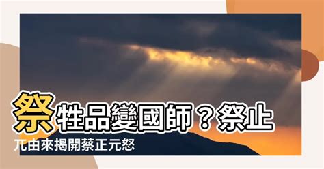 祭止兀由來|【祭止兀由來】別叫我「祭止兀」！蔡正元揭露驚人內幕，祭止兀。